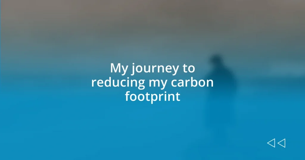 My journey to reducing my carbon footprint