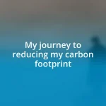 My journey to reducing my carbon footprint